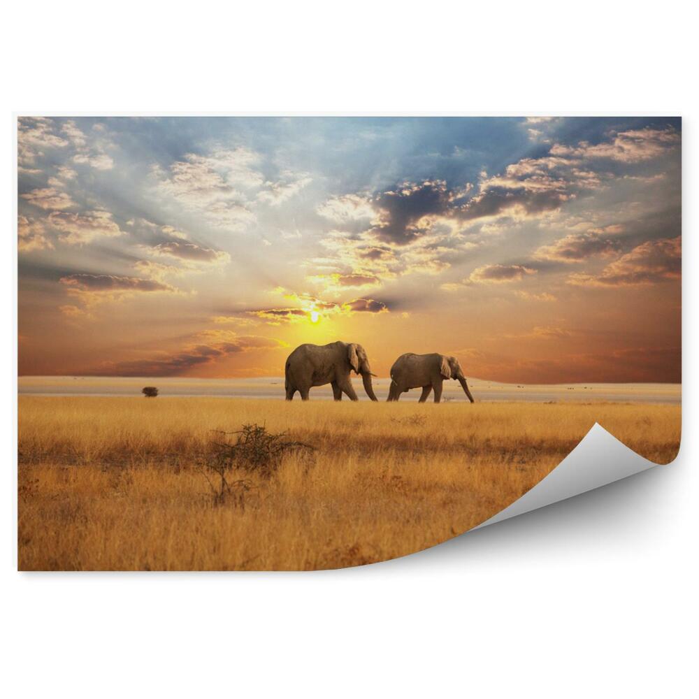 Fototapeta Słonie na pustyni