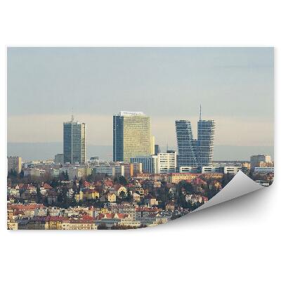 Fototapeta Panorama widok budynki drzewa niebo praga