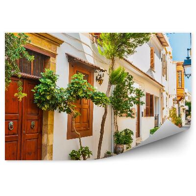 Fototapeta Uliczka rośliny biel grecja