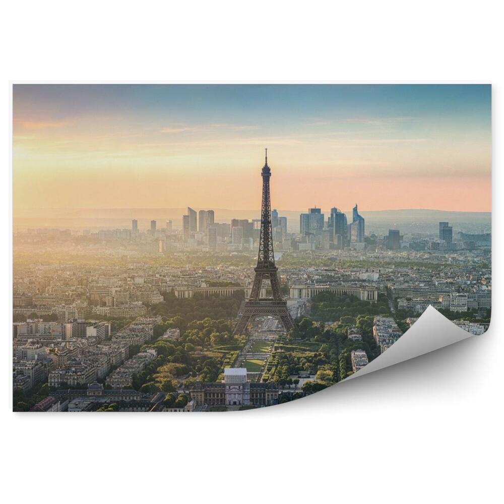 Fototapeta Widok z dachami paryża - wieża eiffla francja