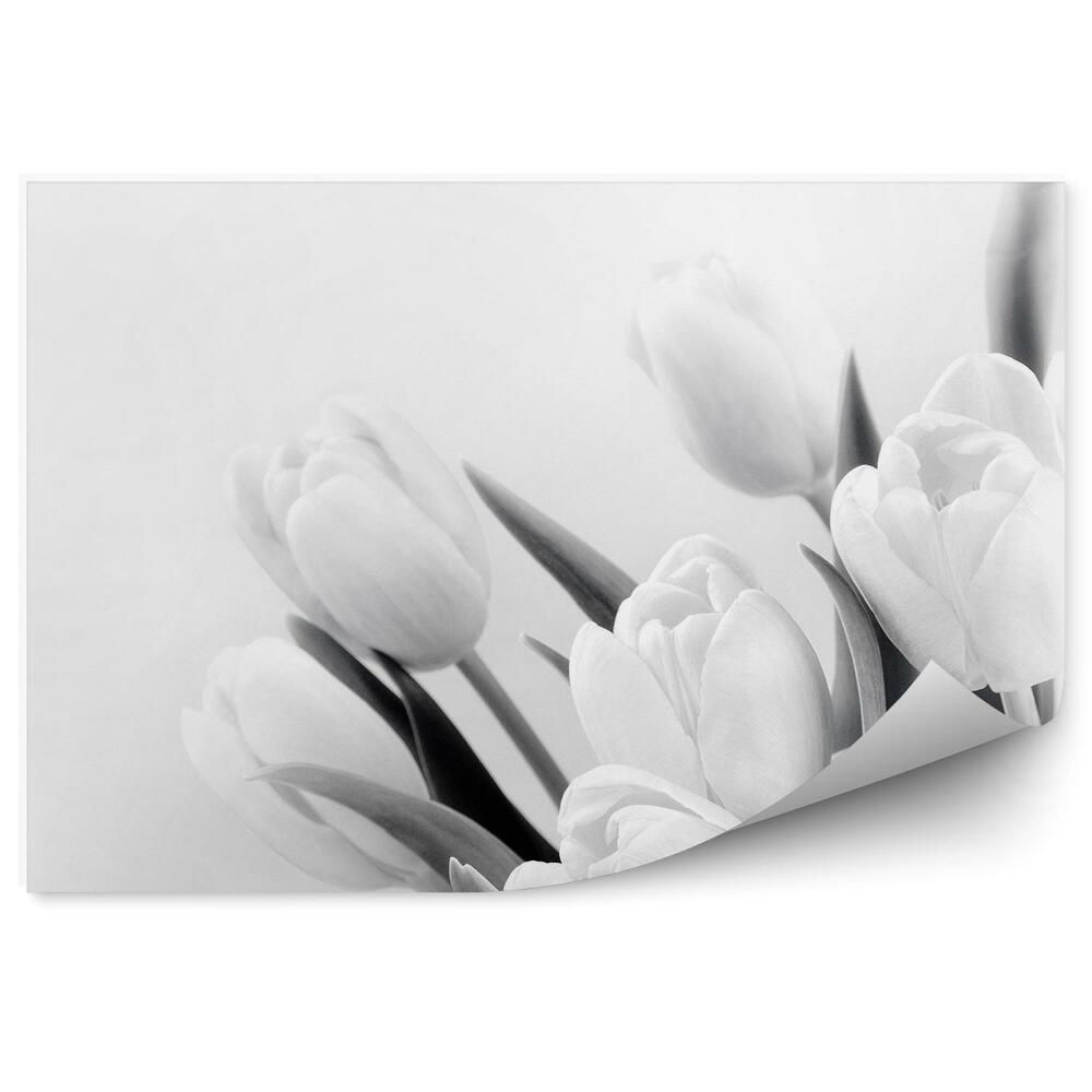 Fototapeta na ścianę Kwiaty tulipanów wzór sepia