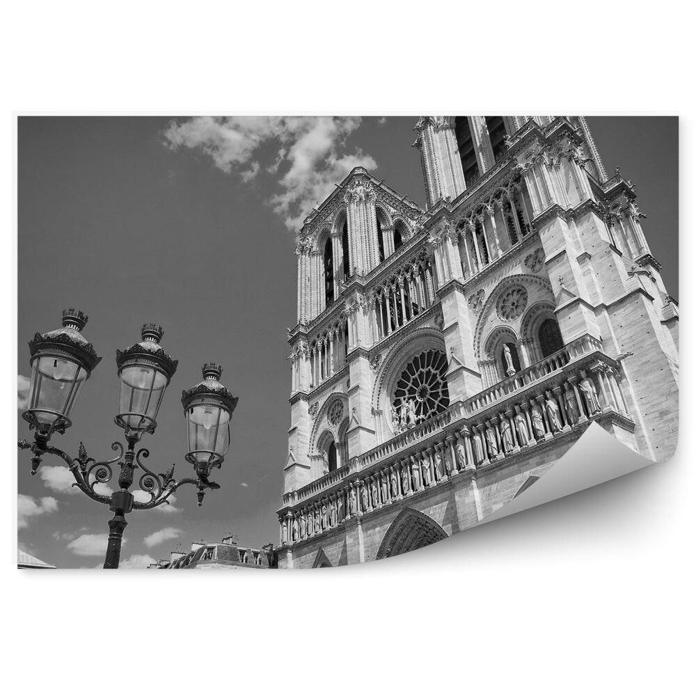 Fototapeta biało - czarne katedra Notre Dam Paryż Francja budynki lampy