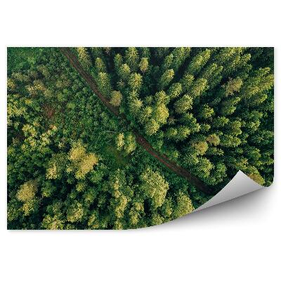 Okleina ścienna Zielone drzewa perspektywa widok z lotu ptaka
