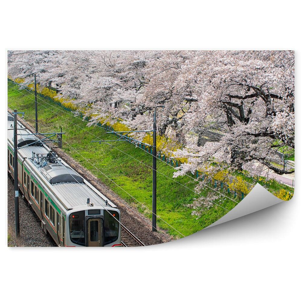 Okleina na ścianę Pociąg tory japonia kwiaty wiśni natura
