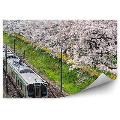 Okleina na ścianę Pociąg tory japonia kwiaty wiśni natura