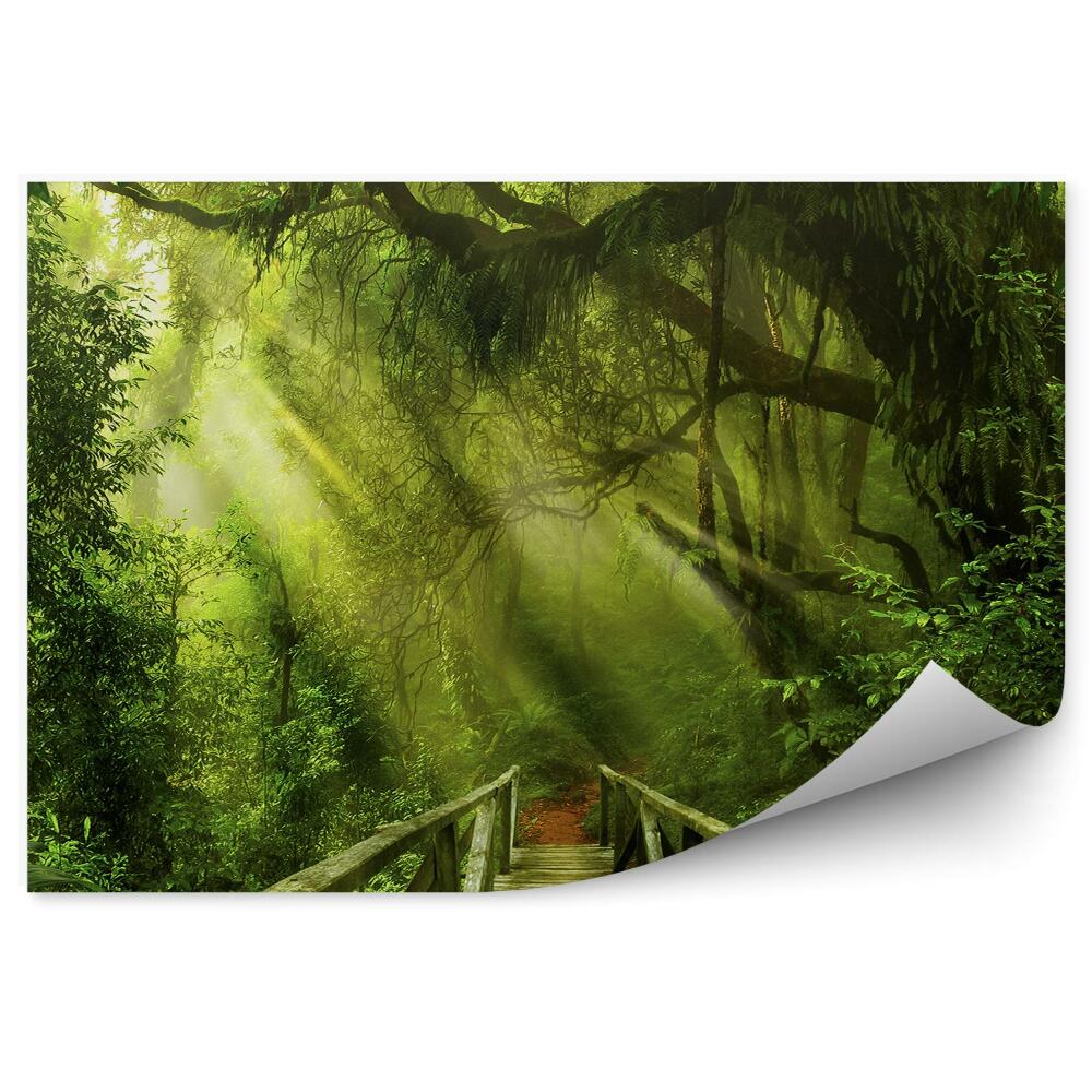 Fototapeta na ścianę Głęboka dżungla zieleń roślinność drewniany most