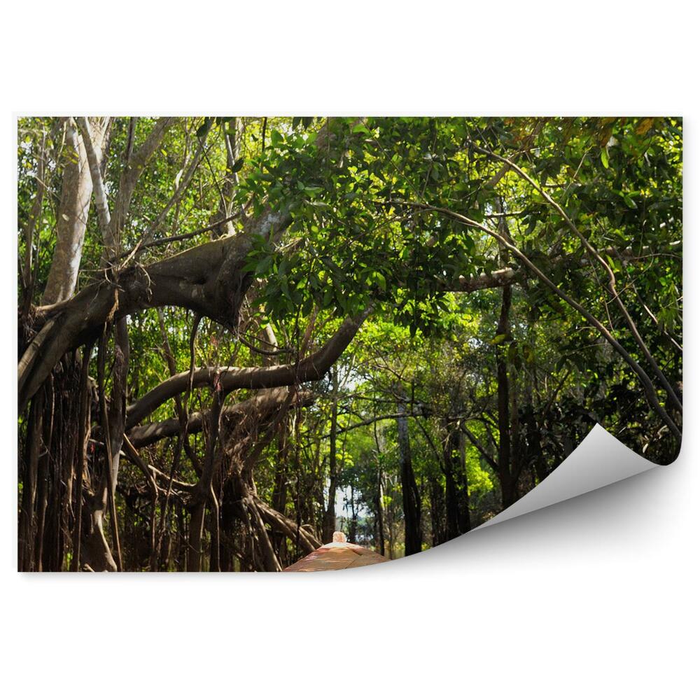 Okleina ścienna Amazońska dżungla łódka drzewa woda