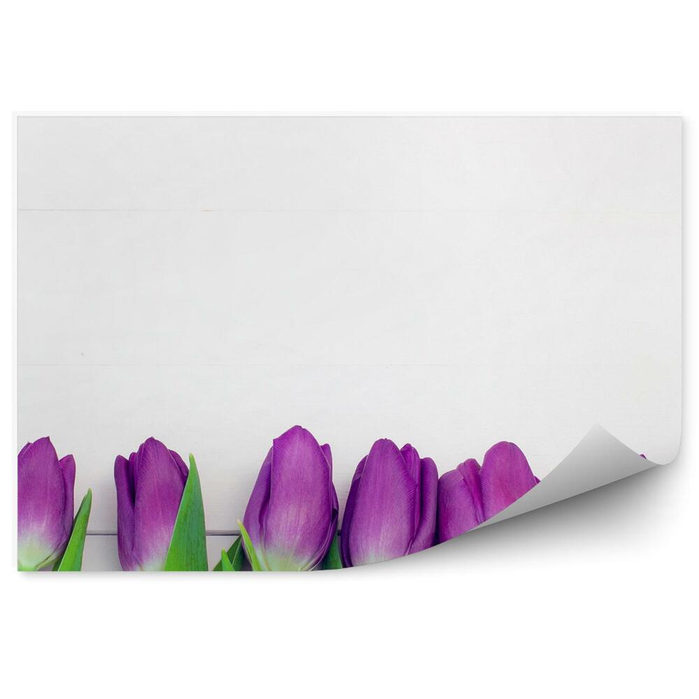 Fototapeta na ścianę Fioletowe tulipany