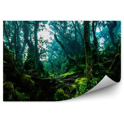 Okleina ścienna Dżungla szlak grube zielone drzewa