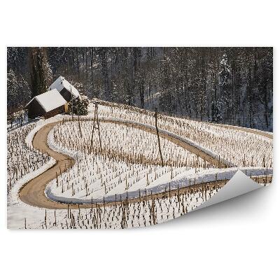 Fotopeta Zima śnieg droga kształt serca natura