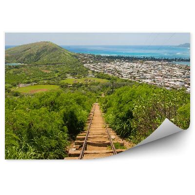 Fototapeta tory góry budynki ocean natura Hawaje