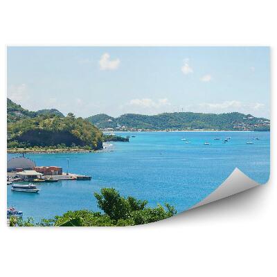 Okleina ścienna Morze karaibskie budynki miasto saint georges palmy drzewa jachty niebo chmury