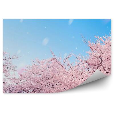 Fototapeta Różowe drzewa niebo chmury niebo deszcz