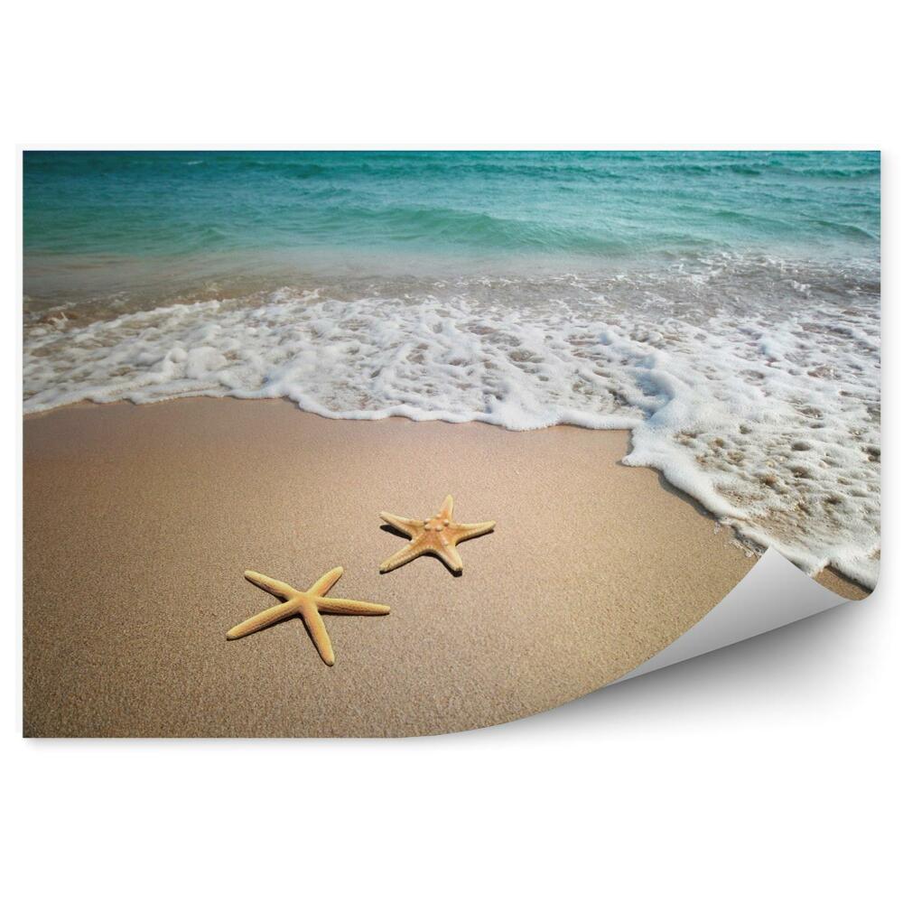 Fototapeta Dwie rozgwiazdy na plaży