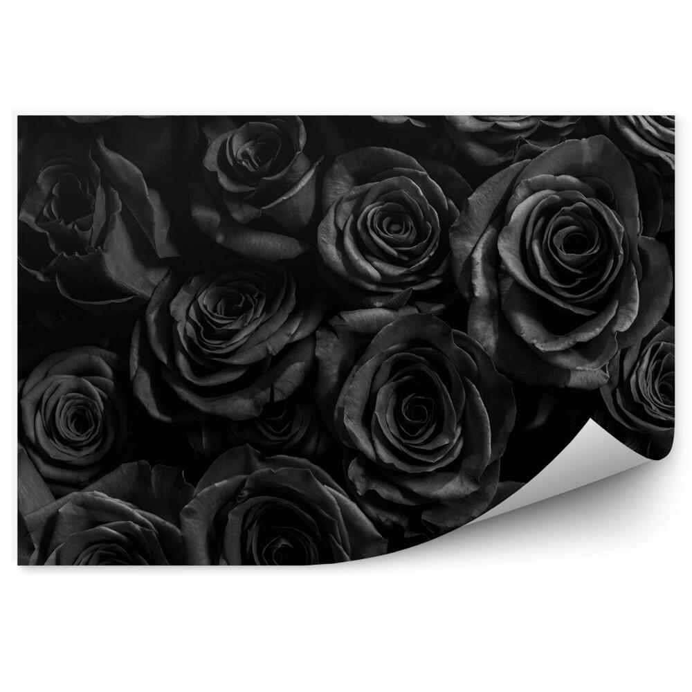 Fototapeta na ścianę czarne róże kwiaty