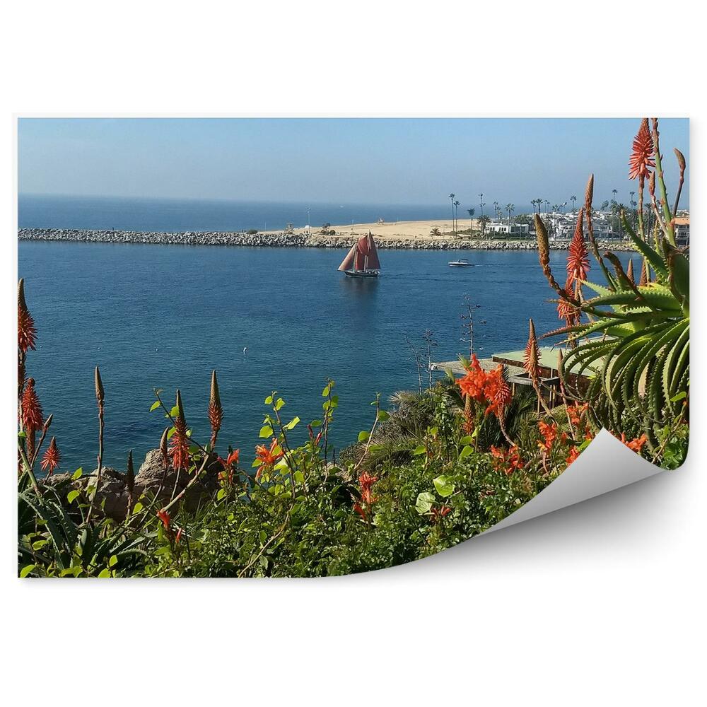 Fototapeta na ścianę widok z łodzi żaglowych rośliny kwiaty port Kalifornia niebo