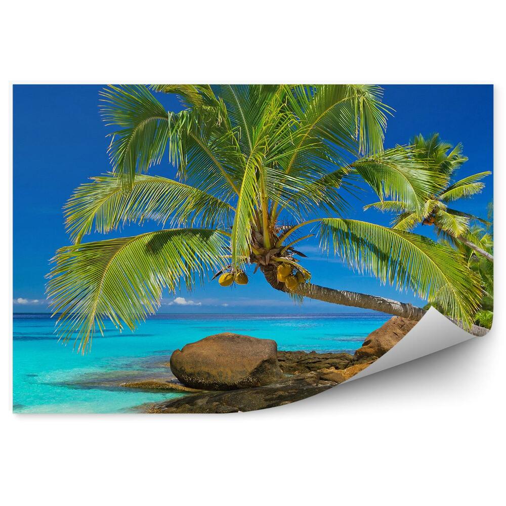 Okleina ścienna Plaża tropikalna palmy skały woda błękitna