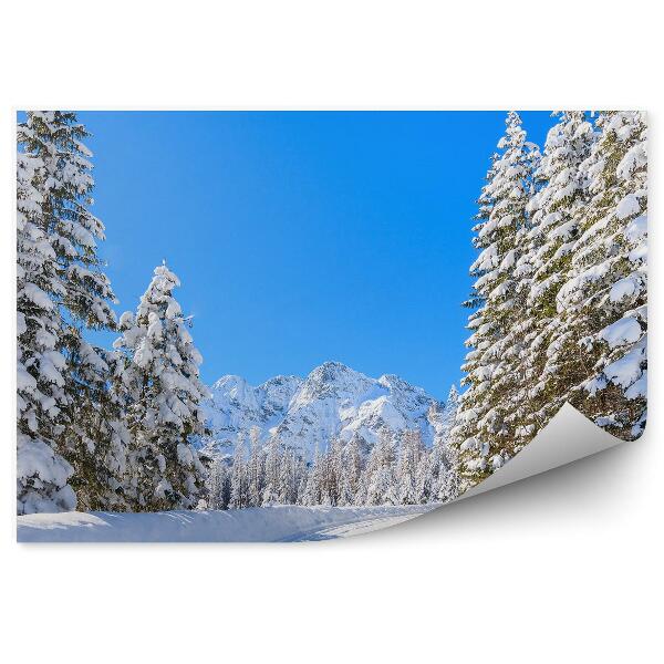 Fototapeta Zimowy krajobraz las morskie oko