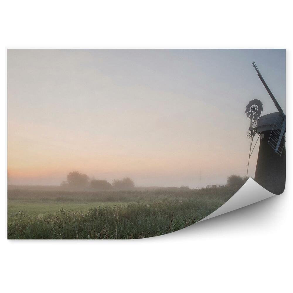 Fototapeta Wiatrak trawa mgła letni krajobraz niebo