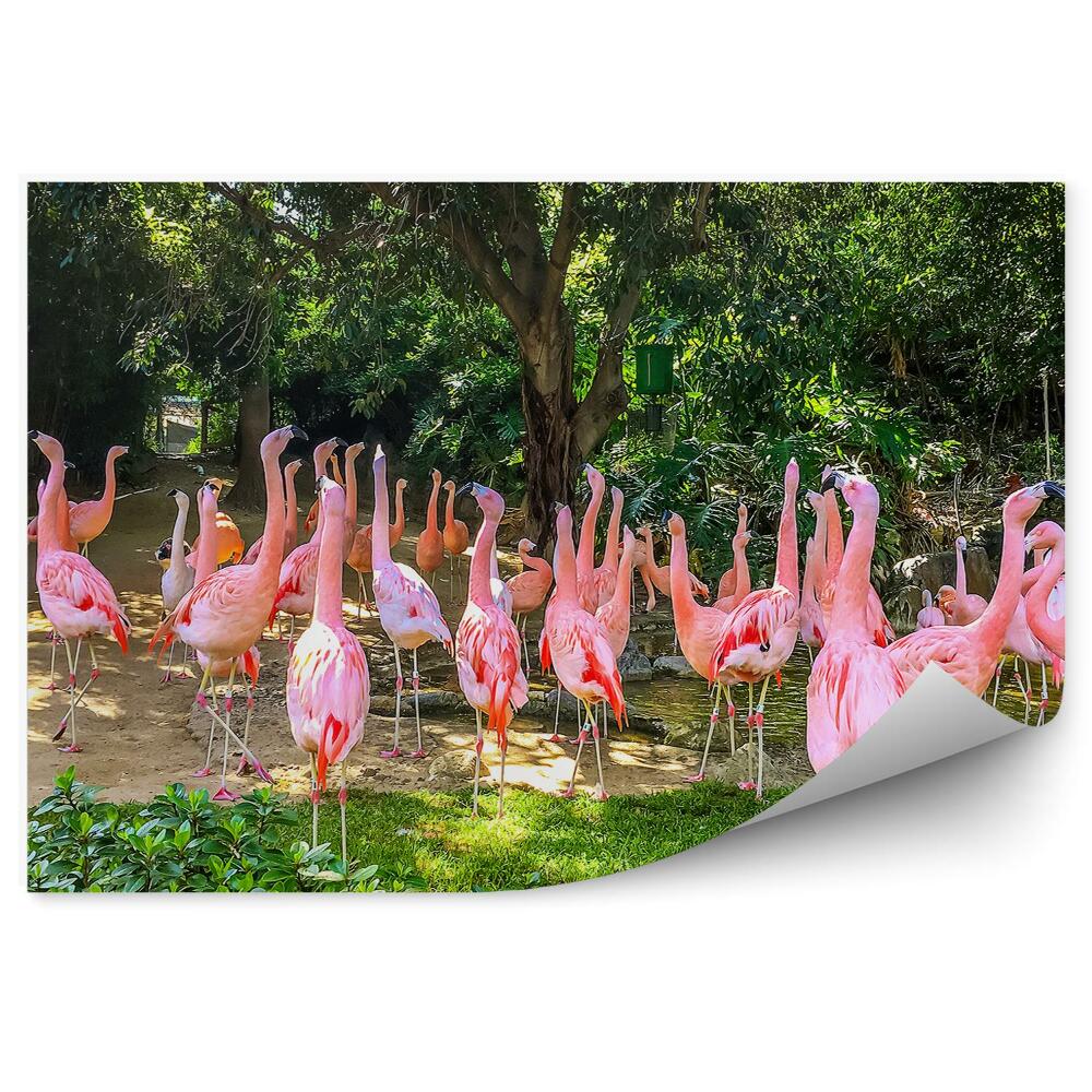Okleina ścienna Różowe flamingi drzewa rośliny liście palmy liście egzotyczne