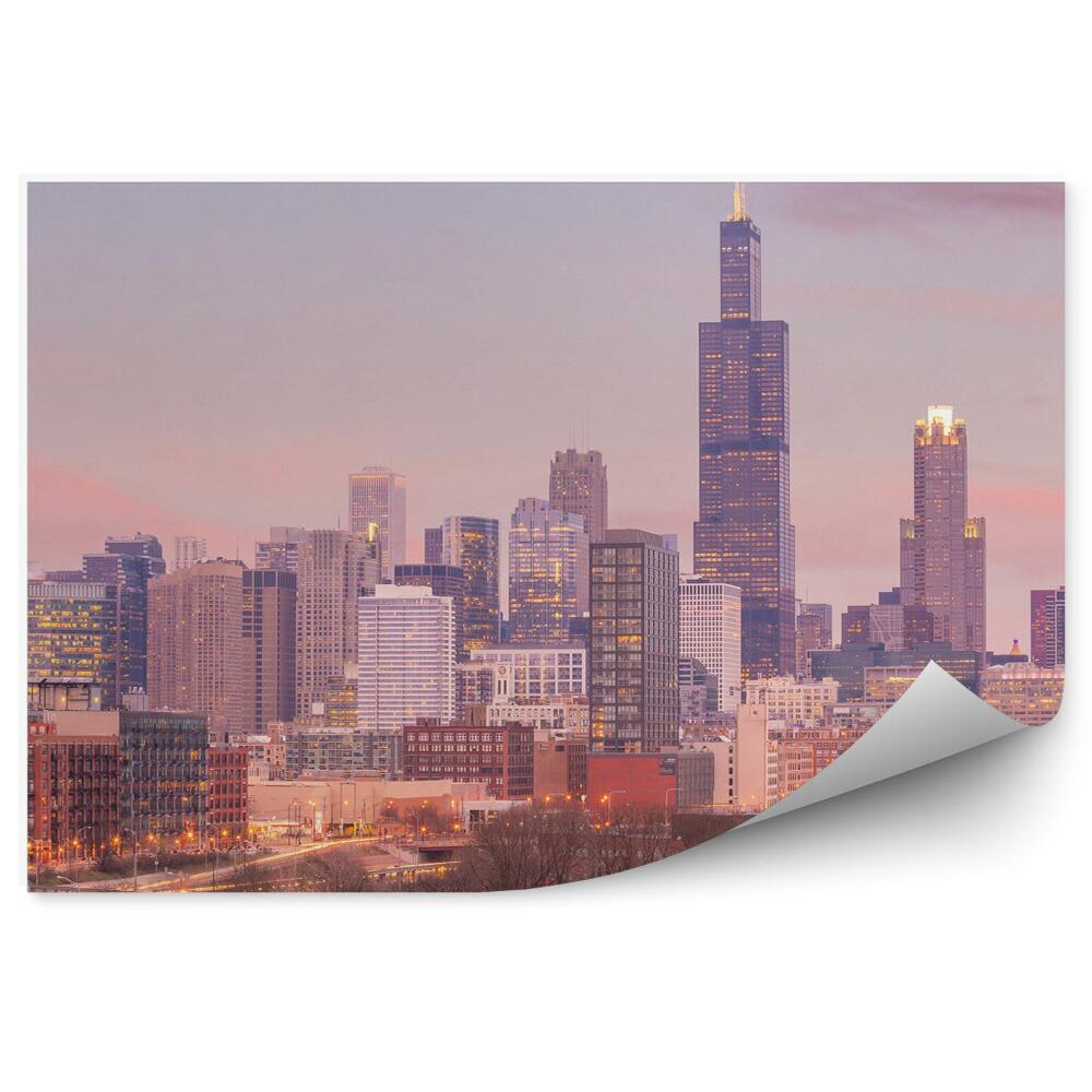 Fototapeta na ścianę wieżowce światła drzewa budynki most Chicago