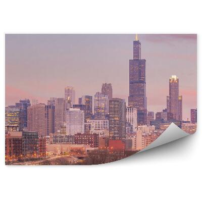Fototapeta na ścianę wieżowce światła drzewa budynki most Chicago