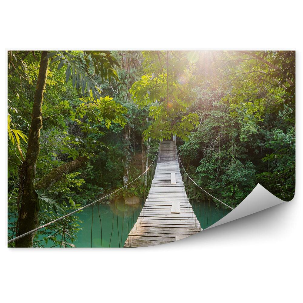 Okleina na ścianę Drewniany most w lesie rzeka woda