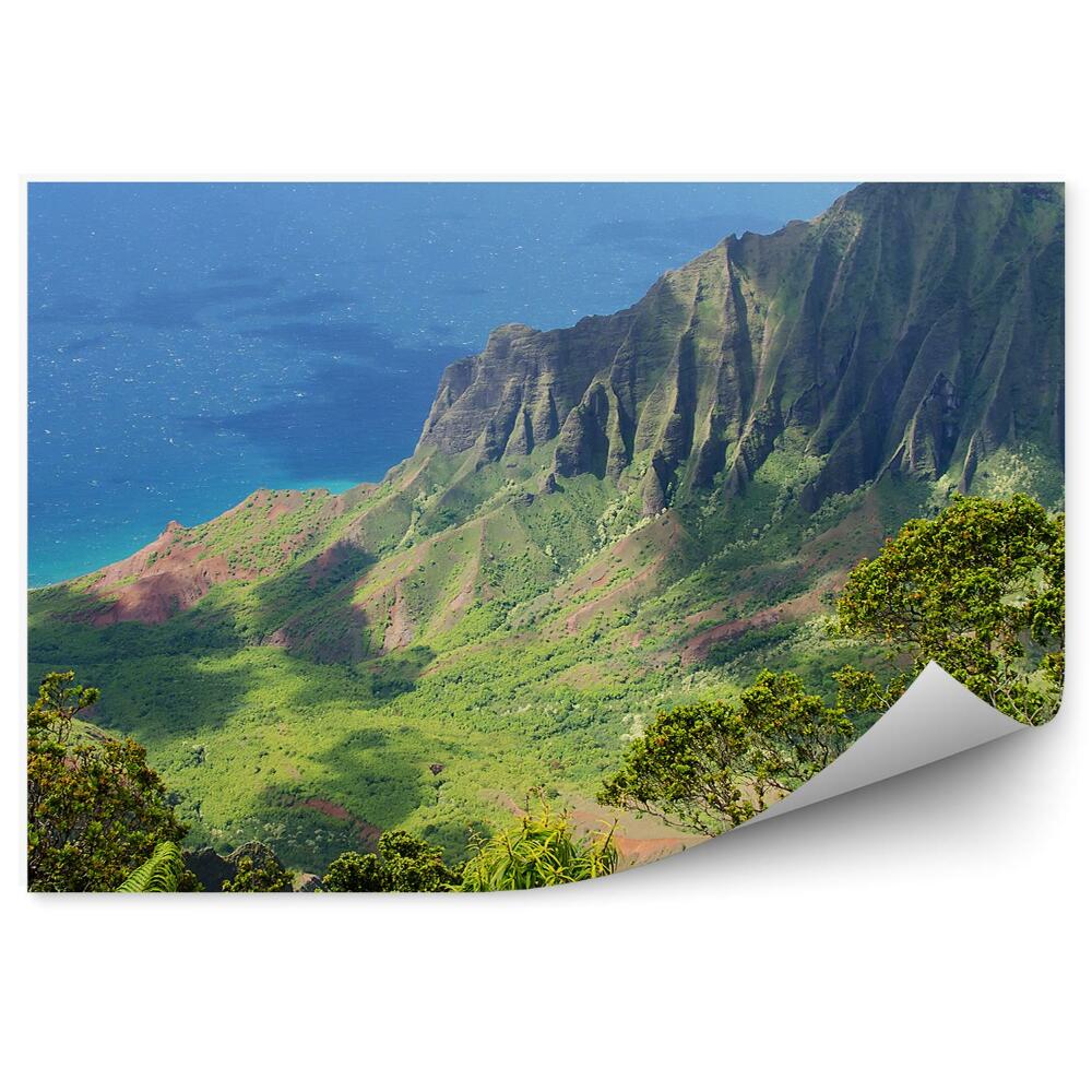 Fototapeta góry ocean rośliny natura Hawaje