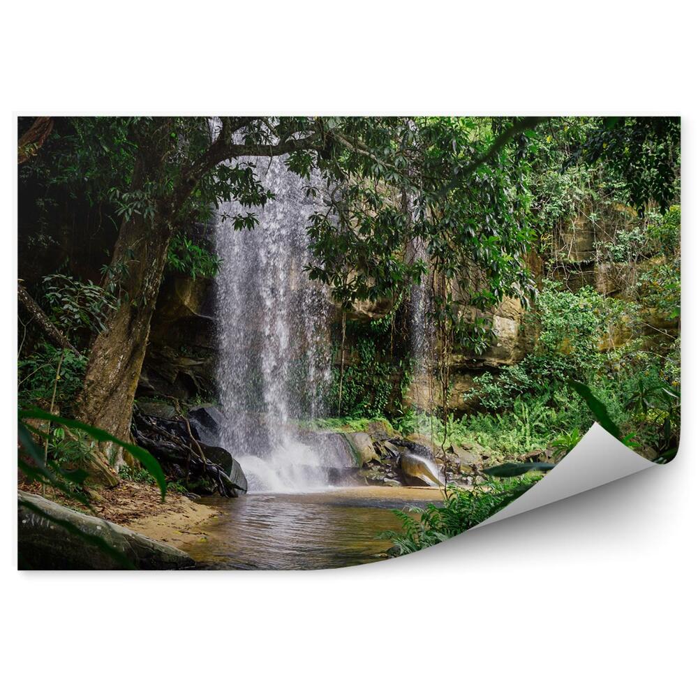 Okleina na ścianę Dżungla wodospad drzewa rośliny