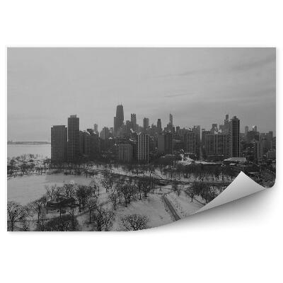 Fototapeta na ścianę sepia wieżowce samochody drzewa droga zima śnieg