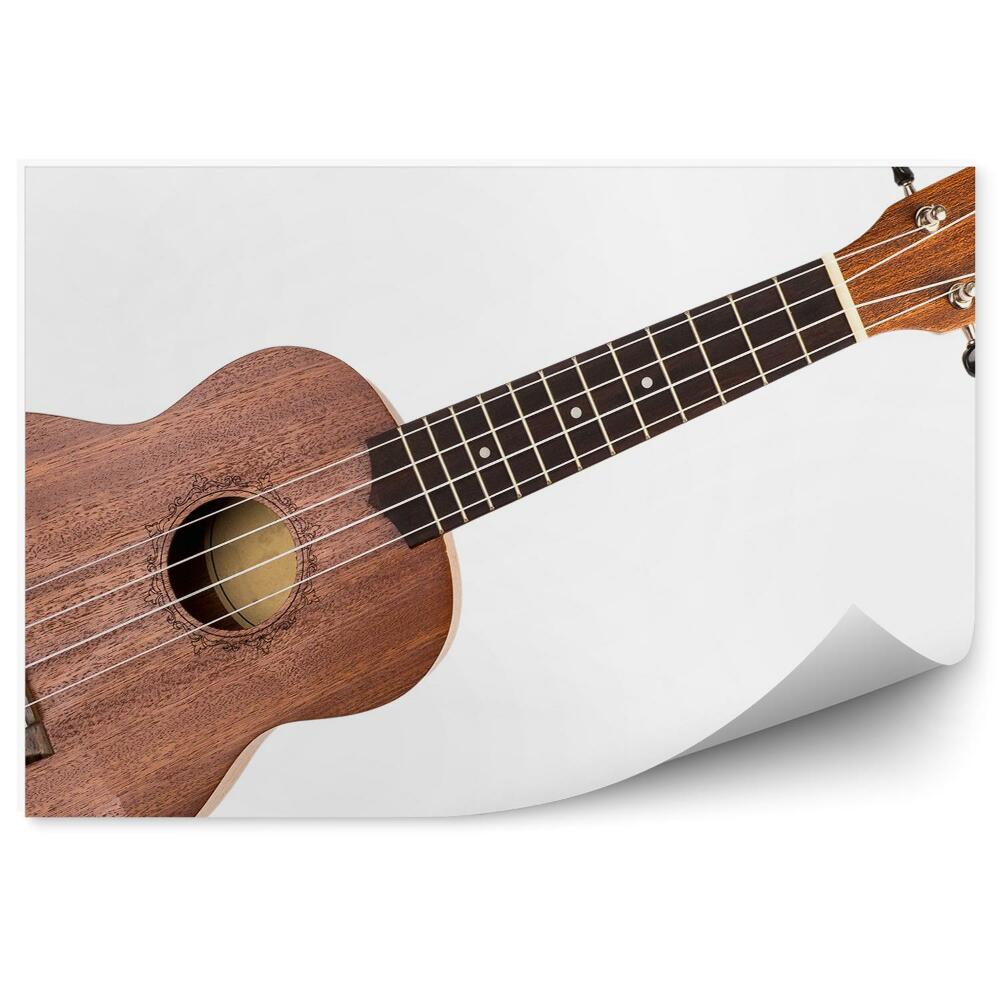 Fototapeta Brązowe ukulele zbliżenie białe tło