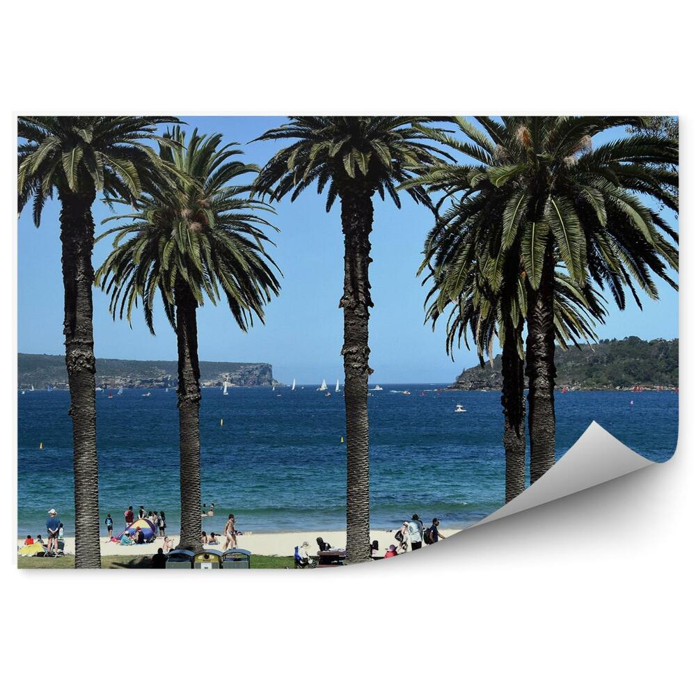 Fototapeta na ścianę Plaża z palmami Sydney turyści lato
