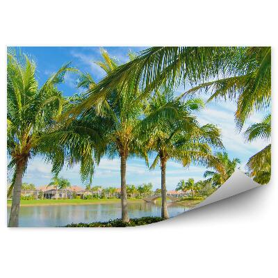 Okleina na ścianę Palmy jezioro domy mosty rośliny