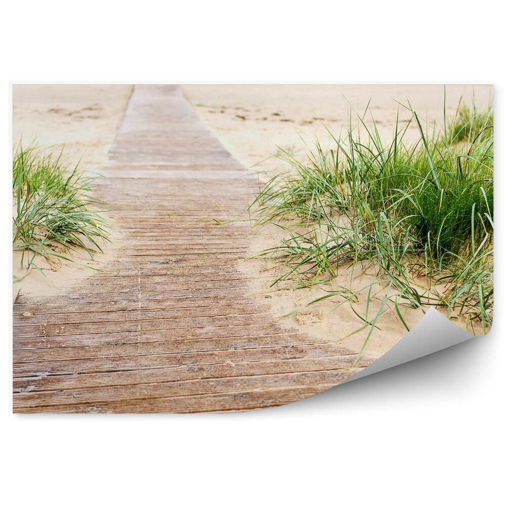 Okleina na ścianę Drewniana ścieżka do morza plaża woda