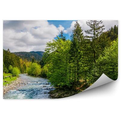 Okleina ścienna Zielony las drzewa choinki rzeka