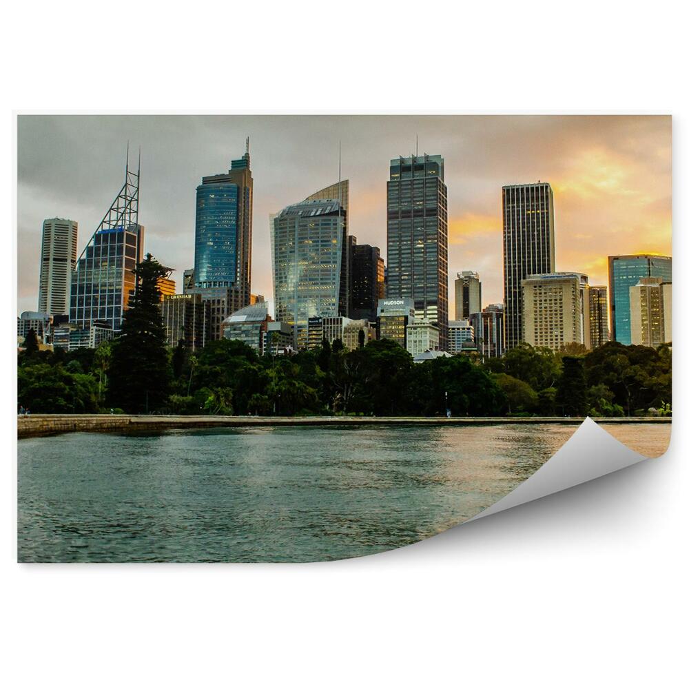 Okleina na ścianę wieżowce drzewa ocean zachód słońca Sydney
