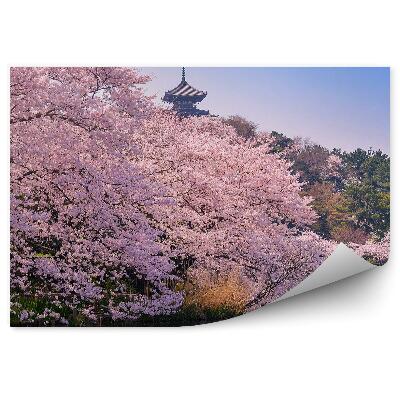 Fototapeta Kwiaty wiśni łódź roślinność drzewa