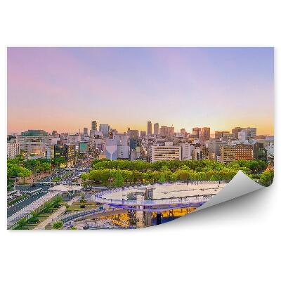 Fototapeta Miasto nagoya japonia budynki natura