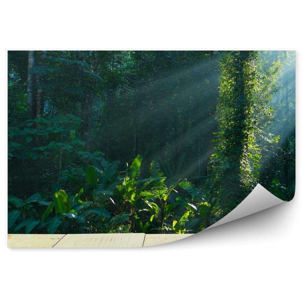 Okleina ścienna Drewniany taras las tropikalny krzaki promienie słońca