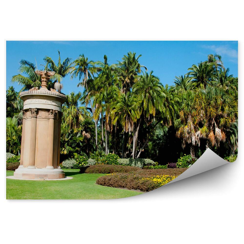 Okleina ścienna Sydney ogród botaniczny palmy
