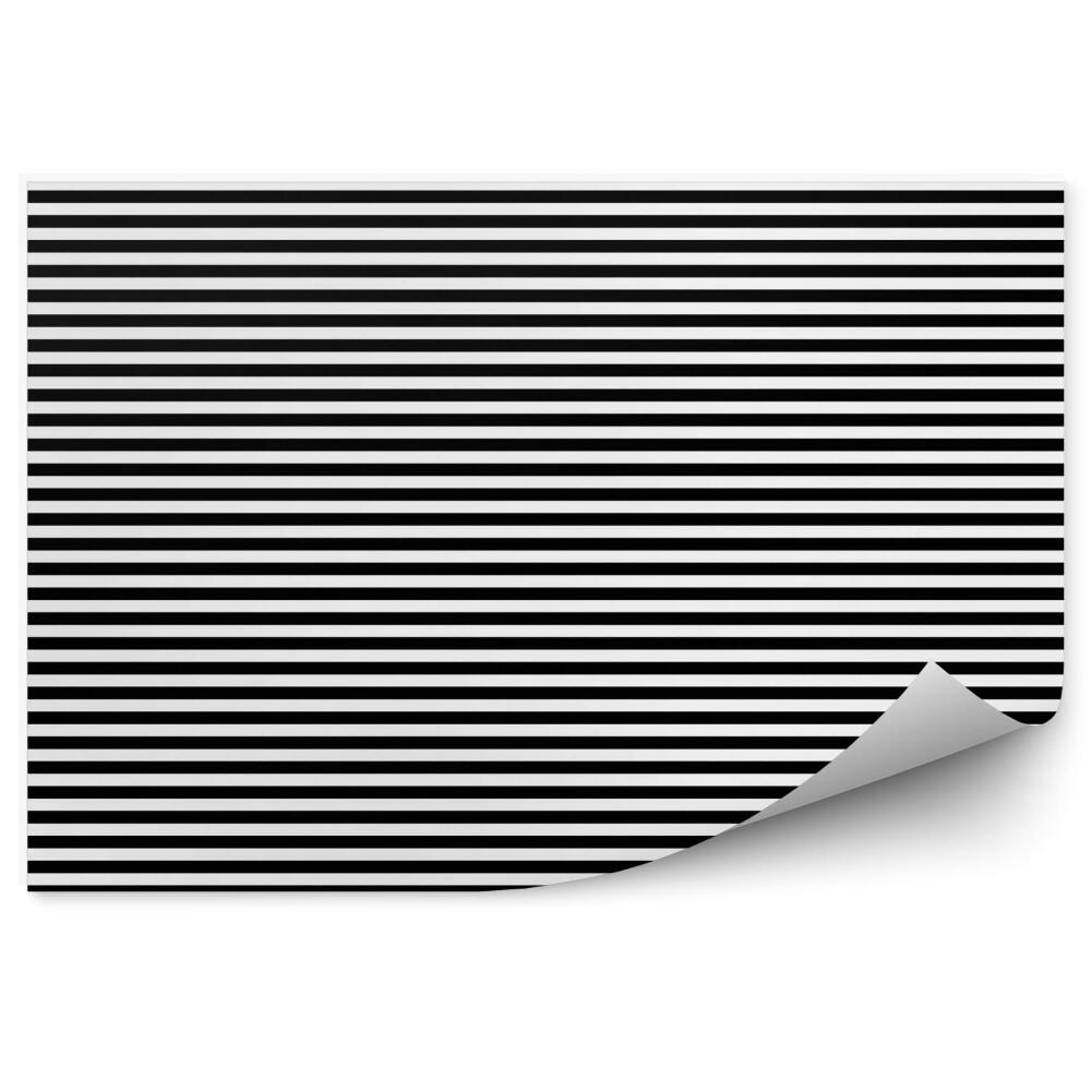 Fototapeta samoprzylepna Czarno-białe paski poziome wzór