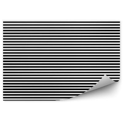 Fototapeta samoprzylepna Czarno-białe paski poziome wzór