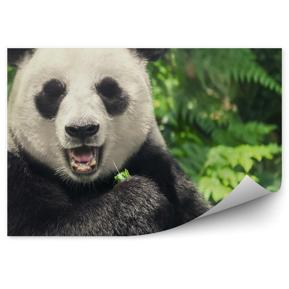 Okleina ścienna Chińska panda