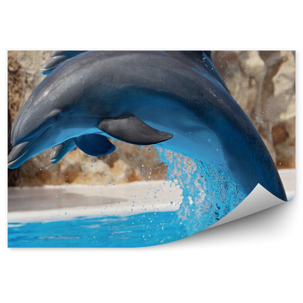 Okleina ścienna Skaczące delfiny