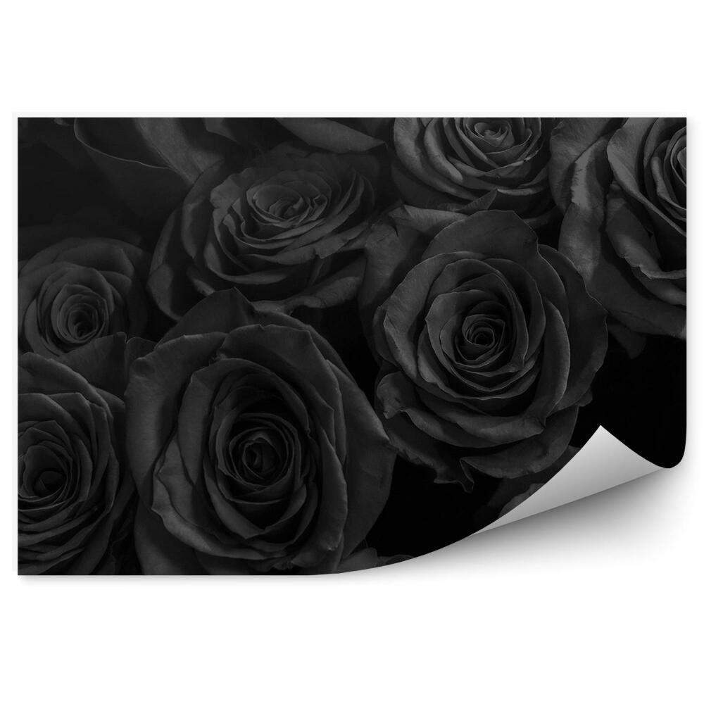 Fototapeta na ścianę Czarne róże kwiaty tło