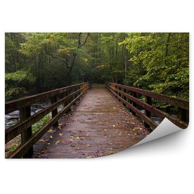 Okleina ścienna Most górski potok drzewa rośliny liście