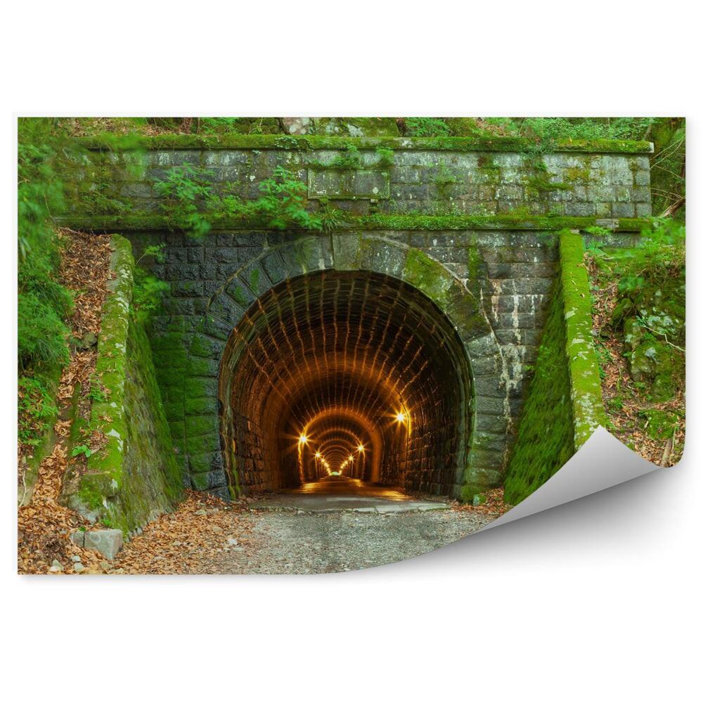 Fototapeta Betonowy zarośnięty tunel