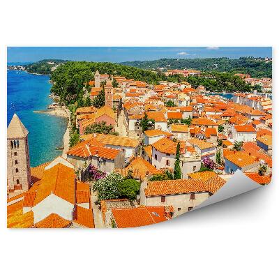 Fototapeta Miasto domy architektura przyroda drzewa woda