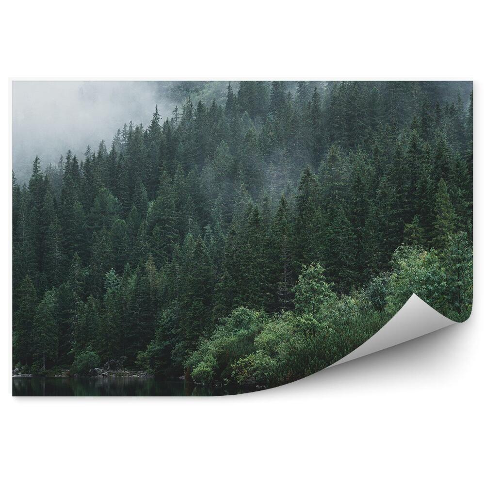 Okleina na ścianę Jezioro drzewa iglaste człowiek kamienie mgła