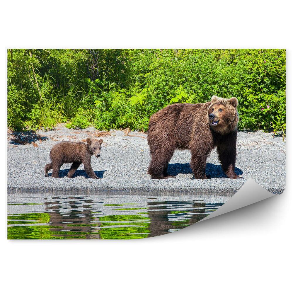 Okleina ścienna Niedźwiedzica z młodymi nad jeziorem